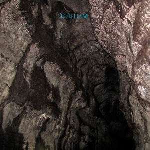 Cilium_Cave 2