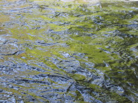 MAY 2012 to JULY 2013 043