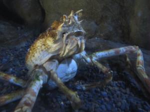 MAY 2012 to JULY 2013 089