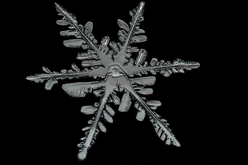 Snowflake_Detail