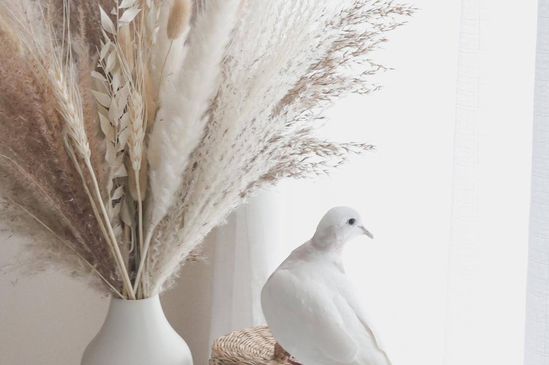 Who Has the Holy Spirit and Who Doesn’t?